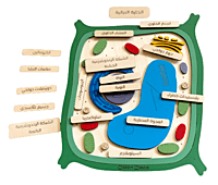 الخلية النباتية - عربي الخلية النباتية - عربي