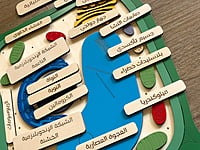 الخلية النباتية - عربي الخلية النباتية - عربي