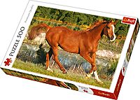 تريفل بازل 500 ق THE BEAUTY OF GALLOP تريفل بازل 500 ق THE BEAUTY OF GALLOP