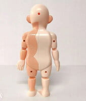 human body model ك 608 # 72 مجسم جسم الإنسان human body model ك 608 # 72 مجسم جسم الإنسان