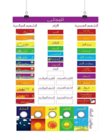 نتيجتي نتيجتي