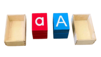 الحروف المصنفرة LOWER CASE