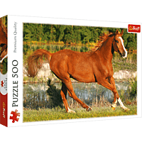 تريفل بازل 500 ق THE BEAUTY OF GALLOP تريفل بازل 500 ق THE BEAUTY OF GALLOP
