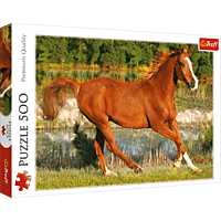 تريفل بازل 500 ق THE BEAUTY OF GALLOP