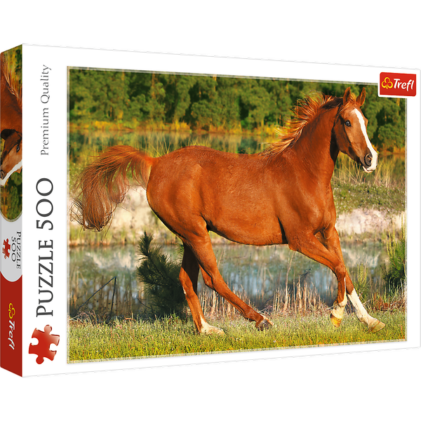 تريفل بازل 500 ق THE BEAUTY OF GALLOP تريفل بازل 500 ق THE BEAUTY OF GALLOP